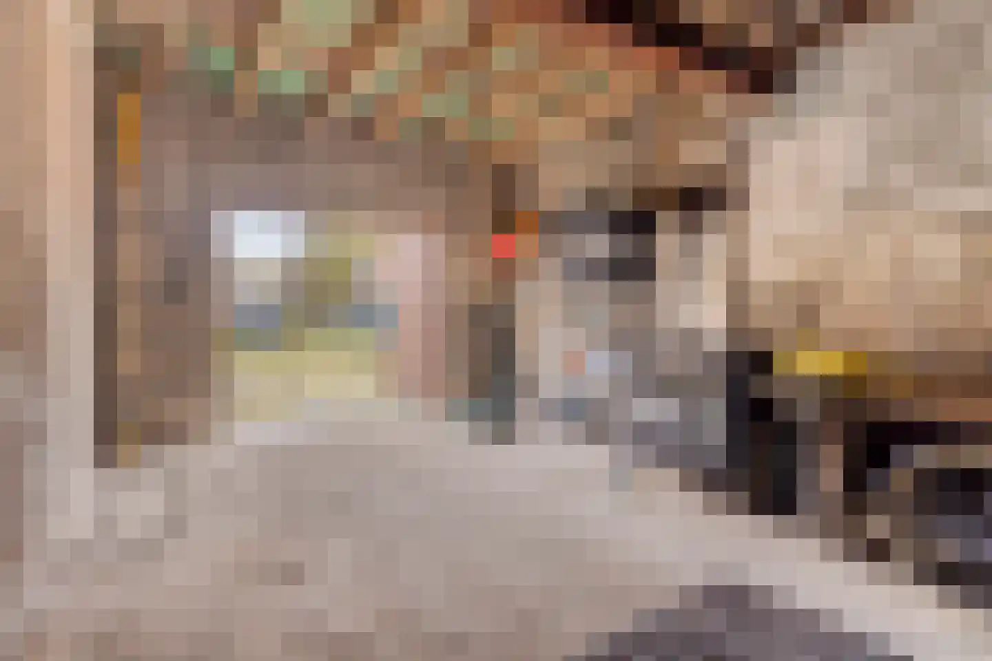 Nieuwstraat 79 Oostburg thumbnail 23