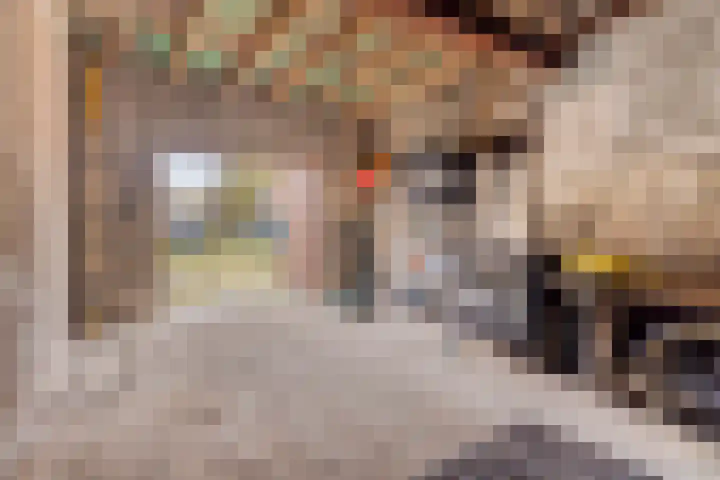 Nieuwstraat 79 Oostburg thumbnail 23