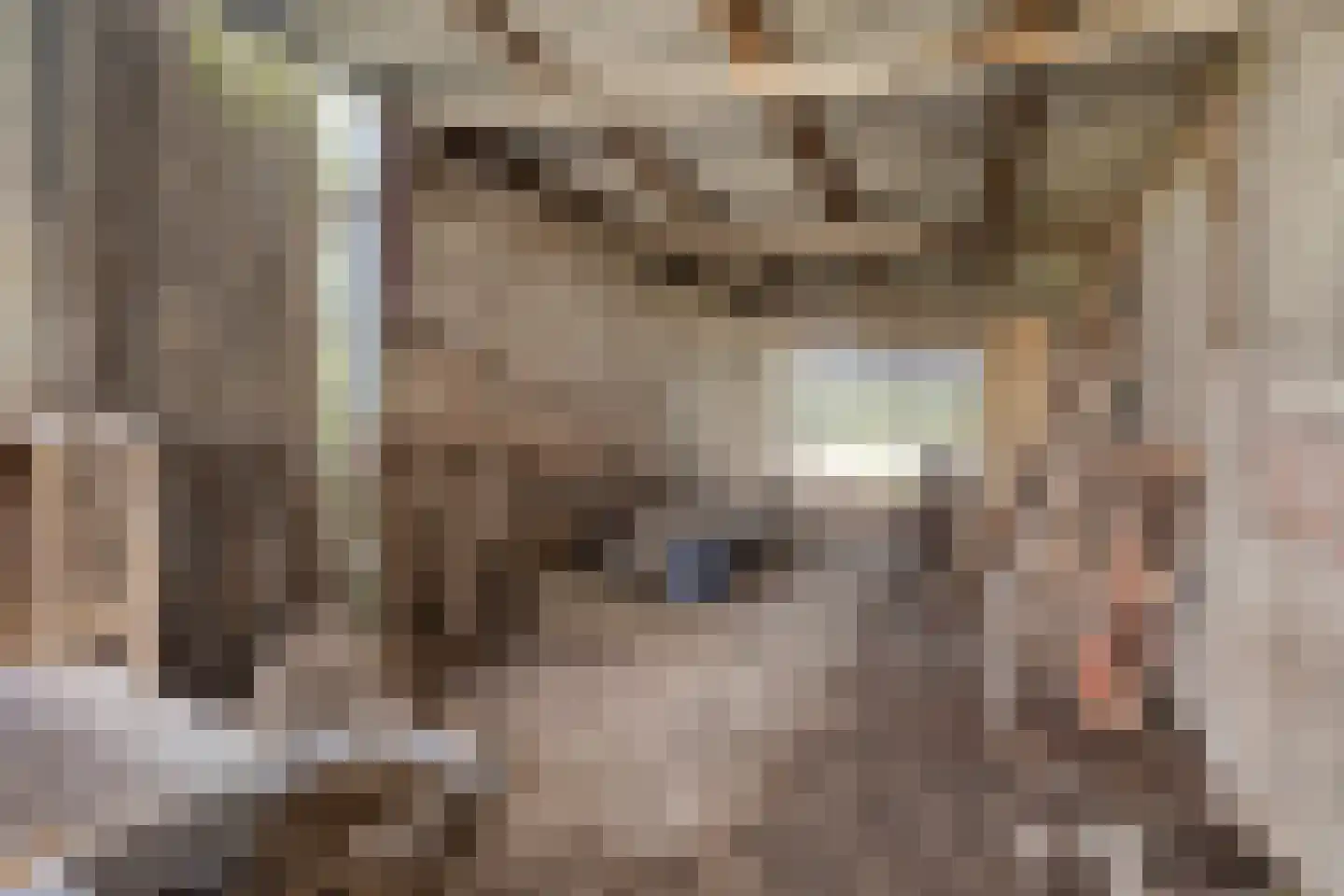 Nieuwstraat 79 Oostburg thumbnail 27