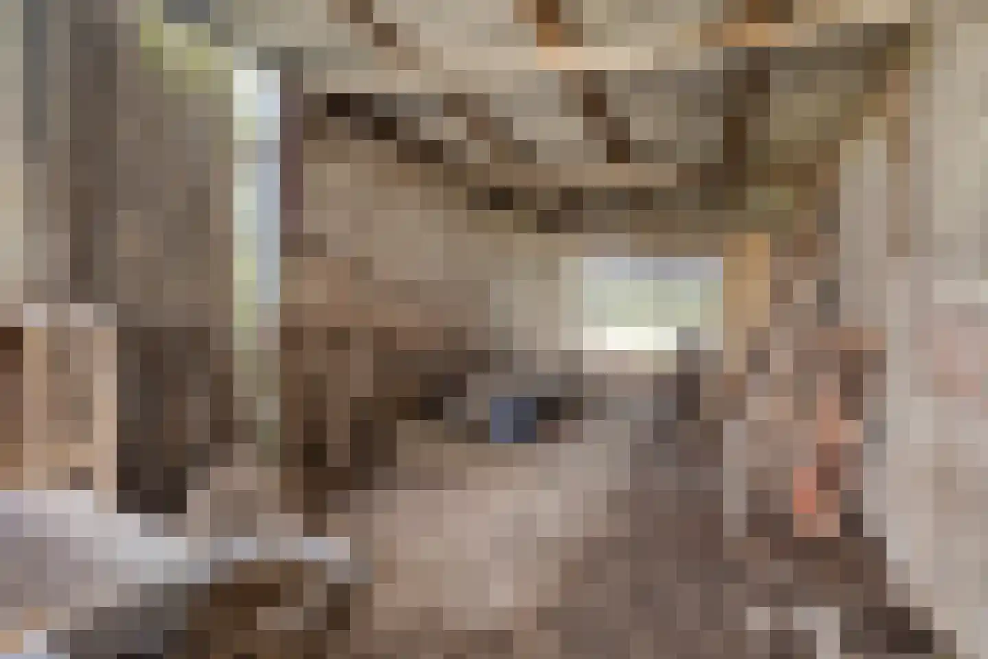 Nieuwstraat 79 Oostburg thumbnail 27