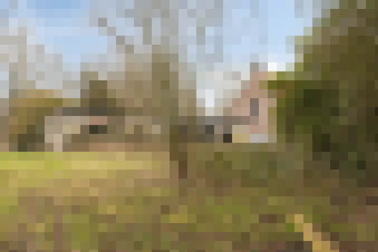 Nieuwstraat 79 Oostburg thumbnail 31
