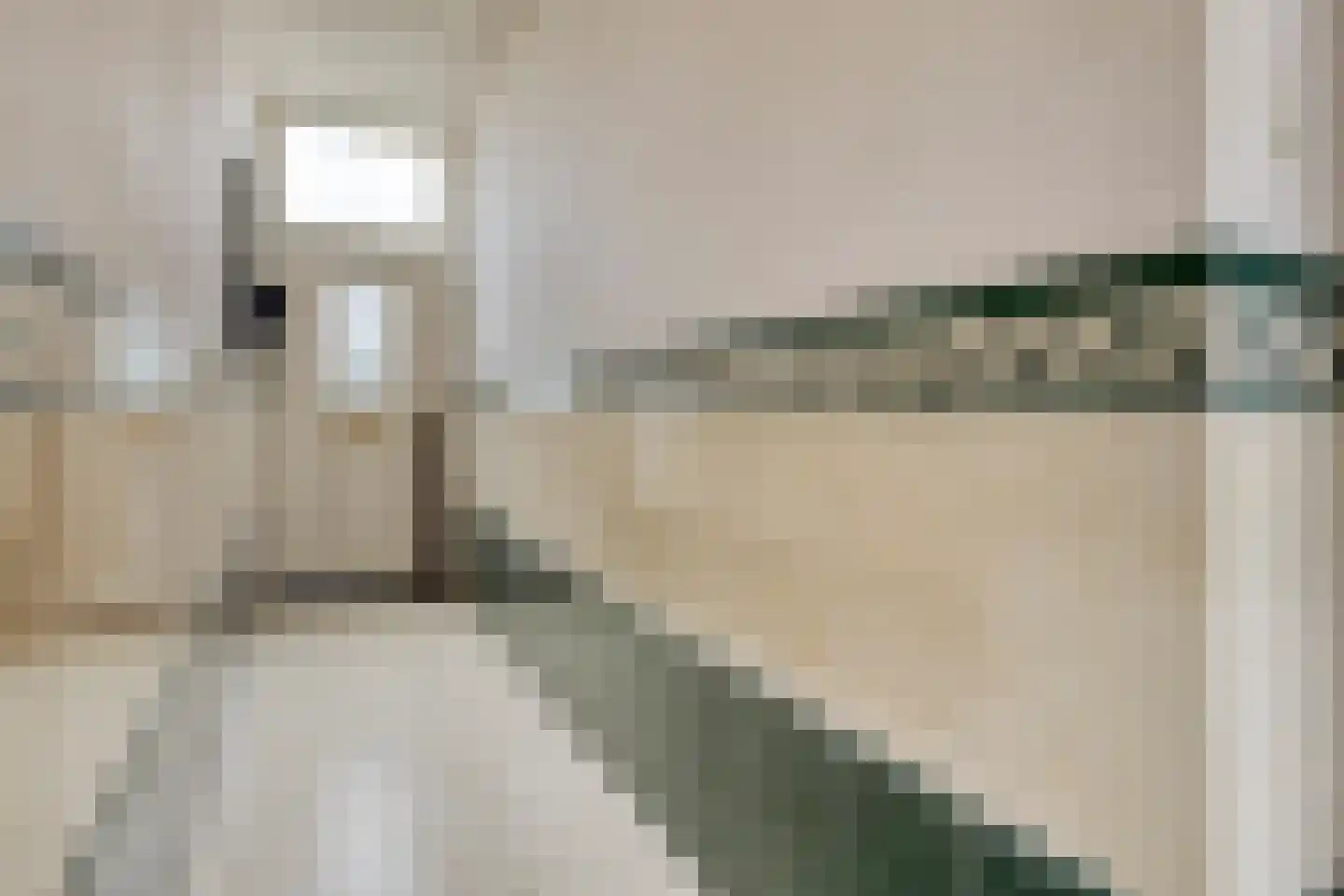 Nieuwstraat 79 Oostburg thumbnail 4
