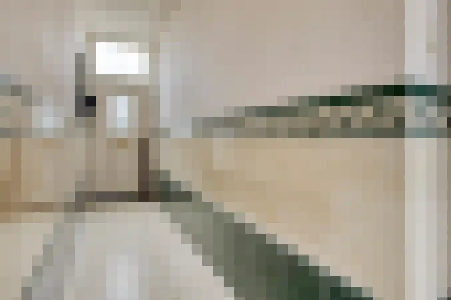 Nieuwstraat 79 Oostburg thumbnail 7