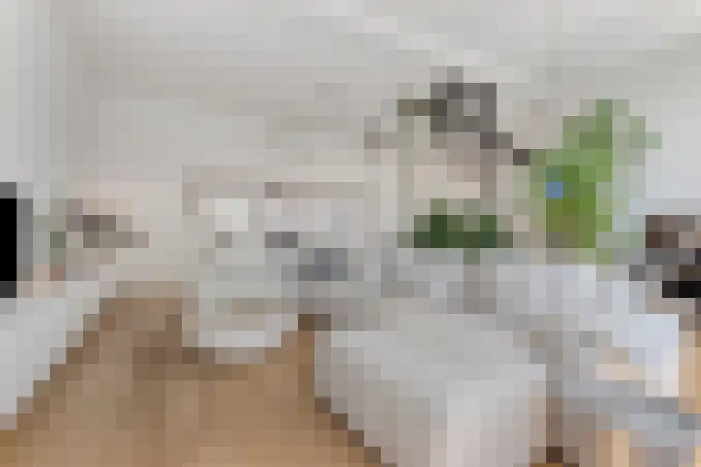Nieuwstraat 8 e Velp thumbnail 15