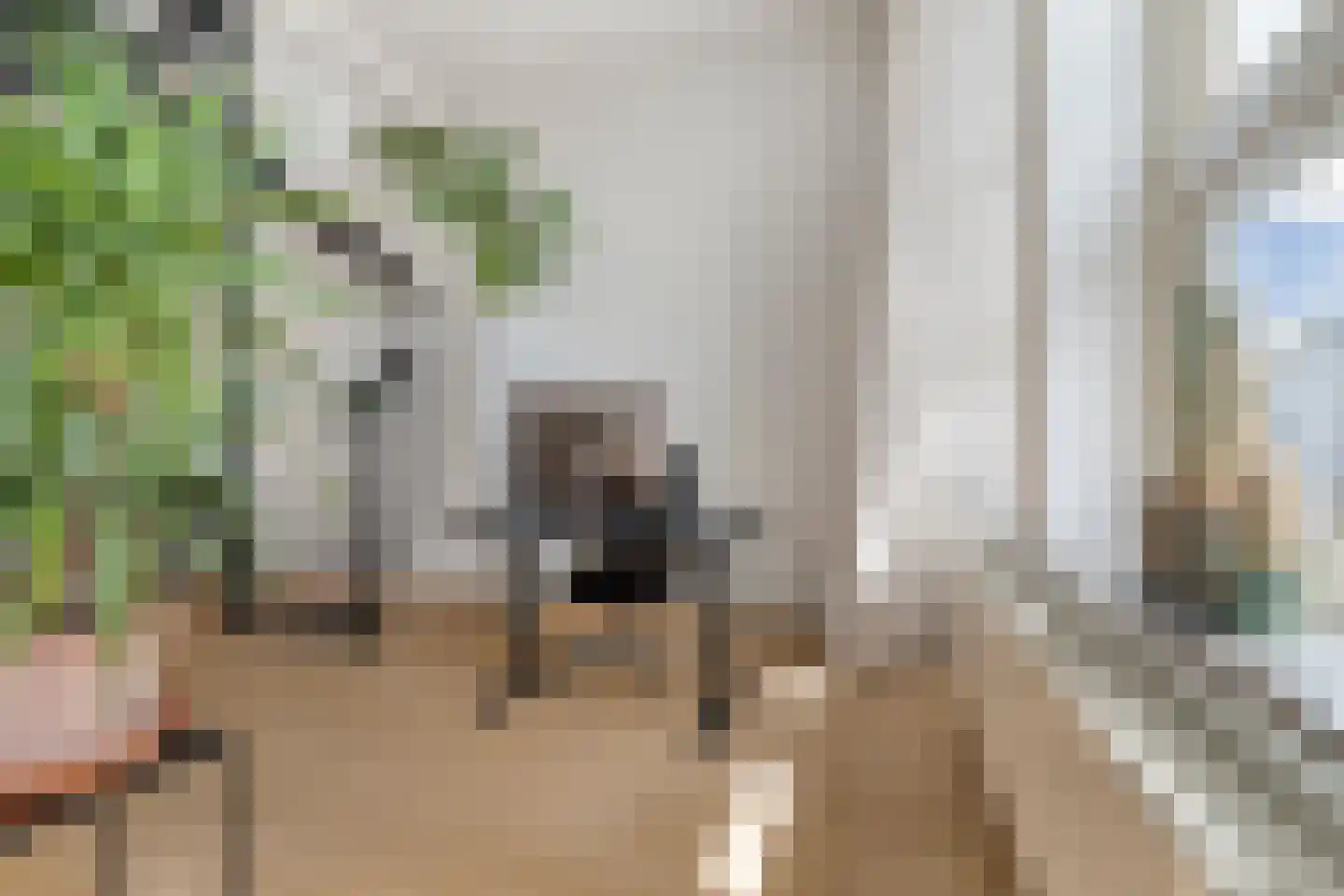 Nieuwstraat 8 e Velp thumbnail 17
