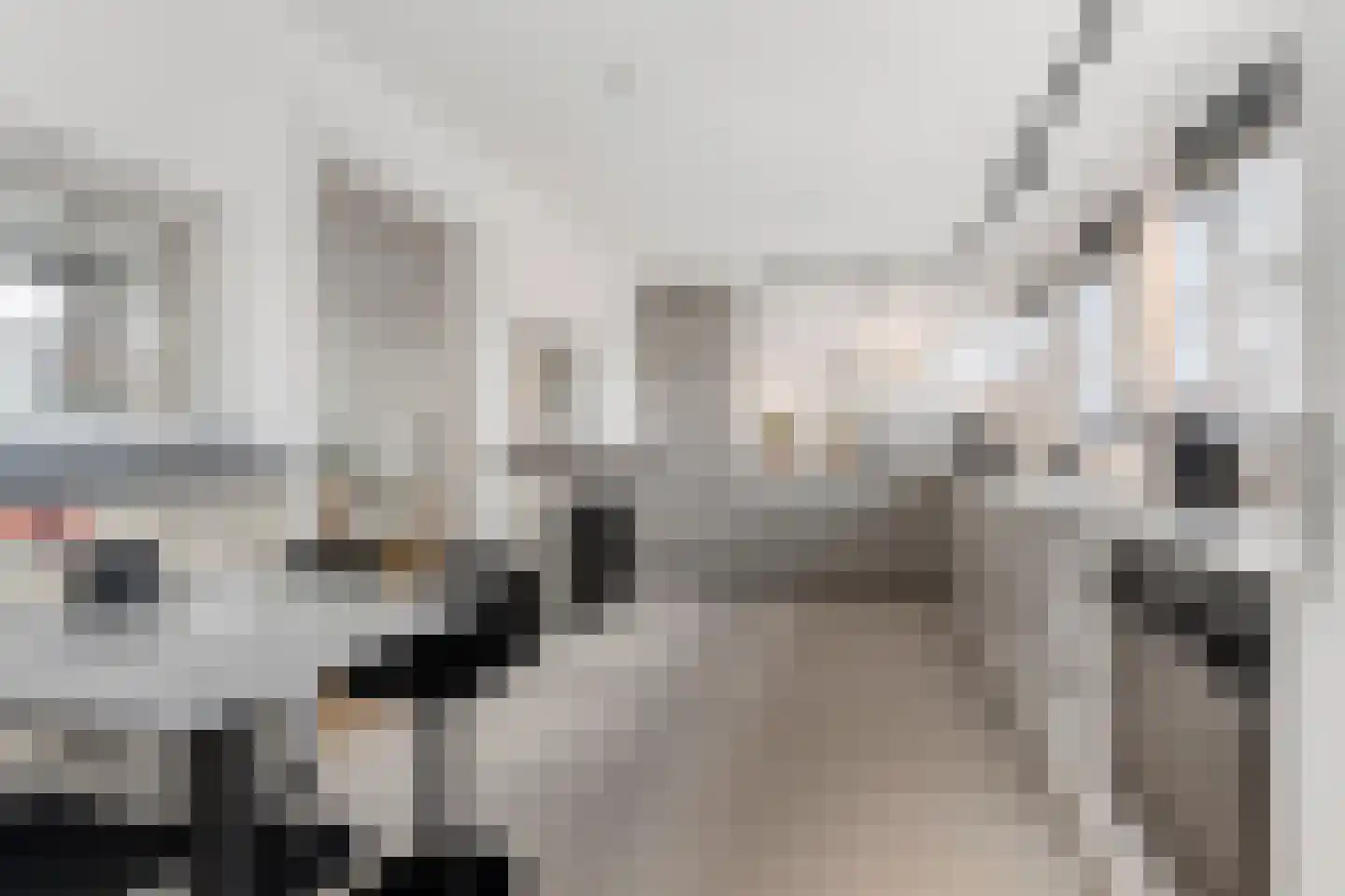 Nieuwstraat 8 e Velp thumbnail 20