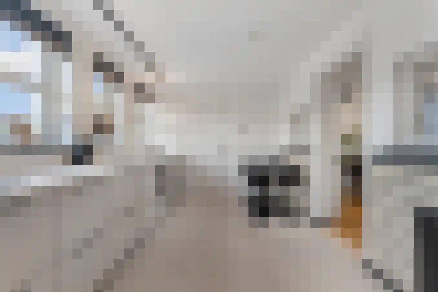 Nieuwstraat 8 e Velp thumbnail 22