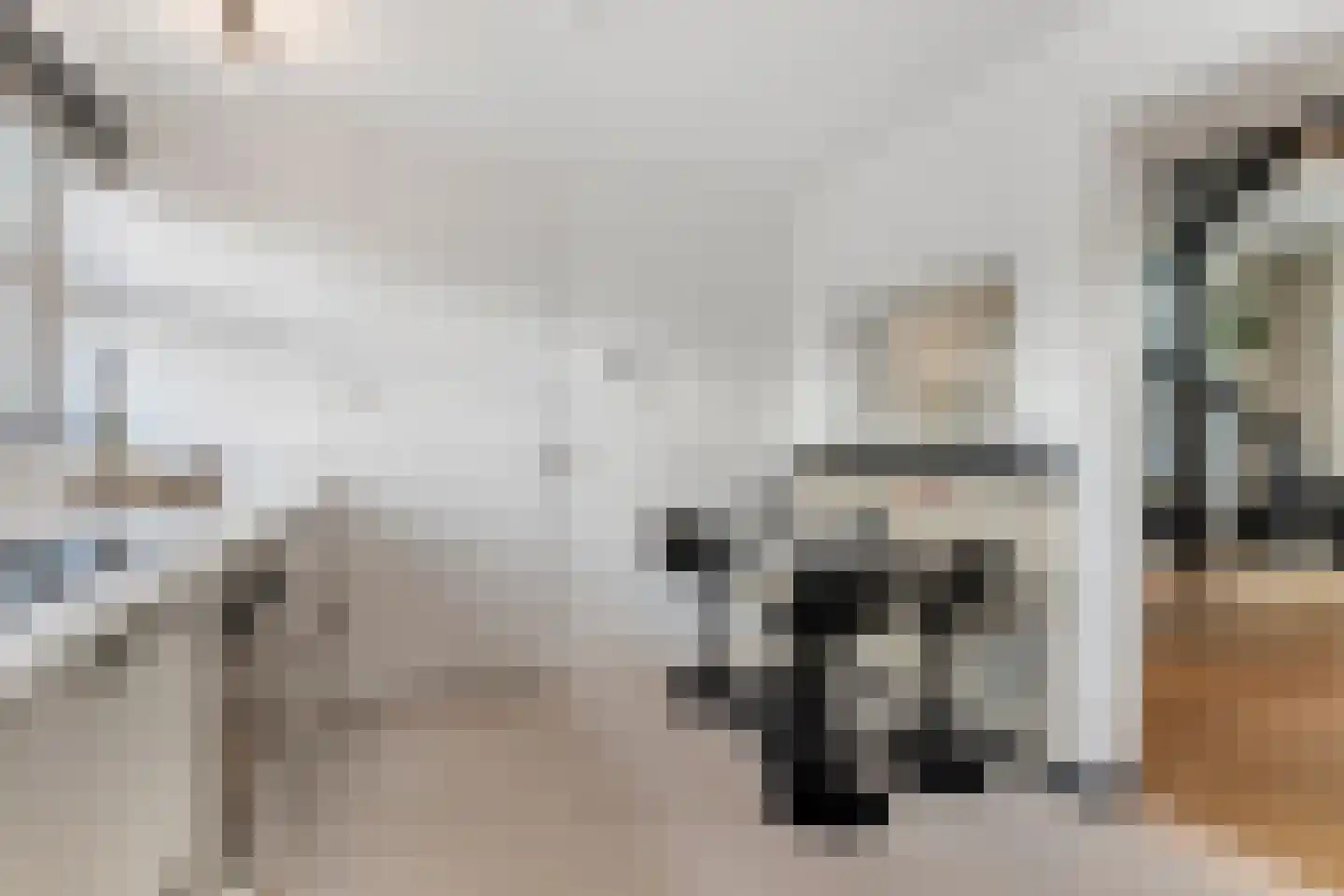Nieuwstraat 8 e Velp thumbnail 23