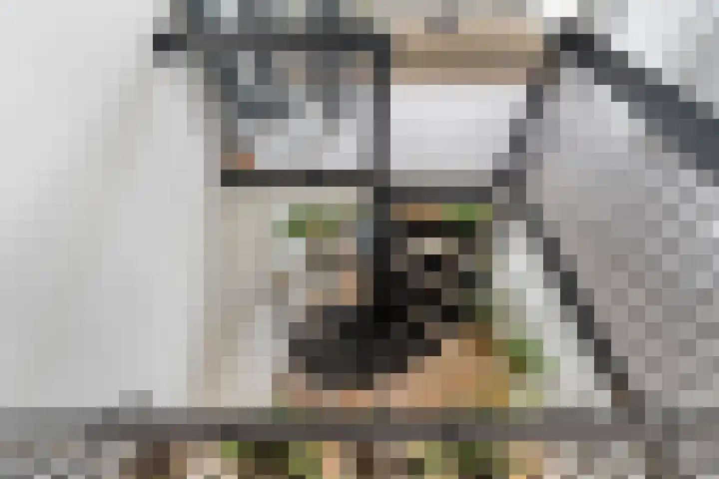 Nieuwstraat 8 e Velp thumbnail 26