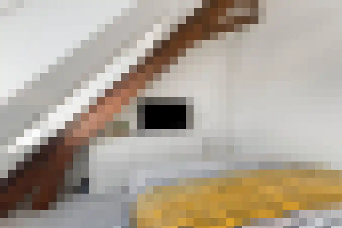 Nieuwstraat 8 e Velp thumbnail 30