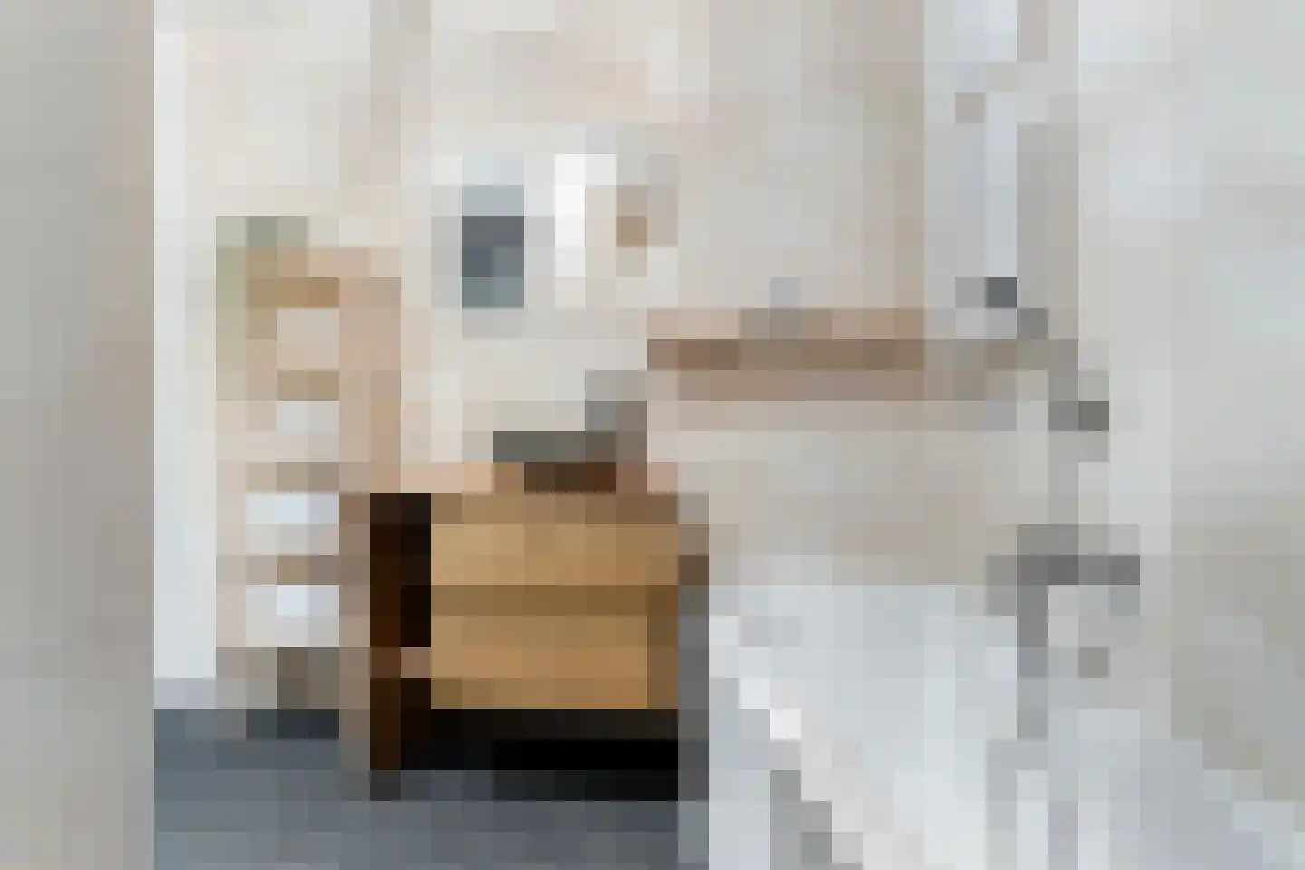 Nieuwstraat 8 e Velp thumbnail 31