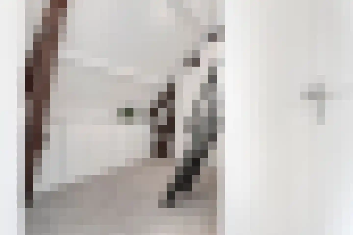 Nieuwstraat 8 e Velp thumbnail 38