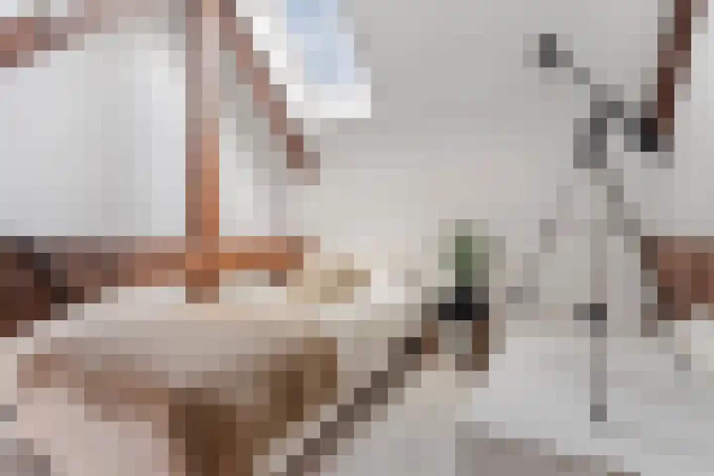 Nieuwstraat 8 e Velp thumbnail 41