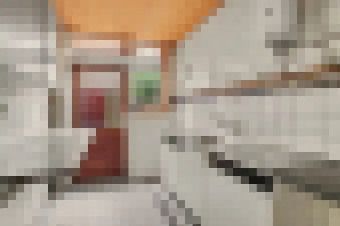 Nieuwstraat 8 Hansweert thumbnail 15