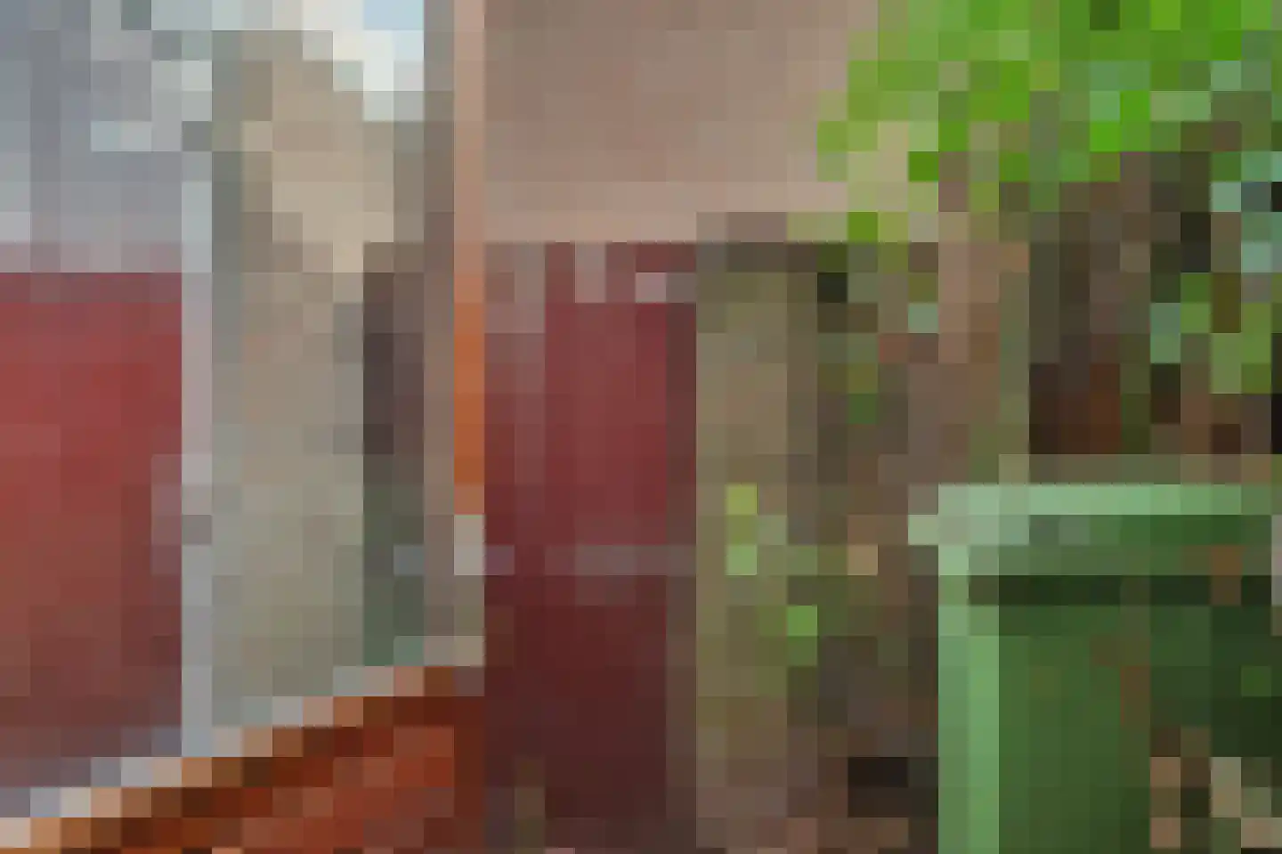 Nieuwstraat 8 Hansweert thumbnail 25