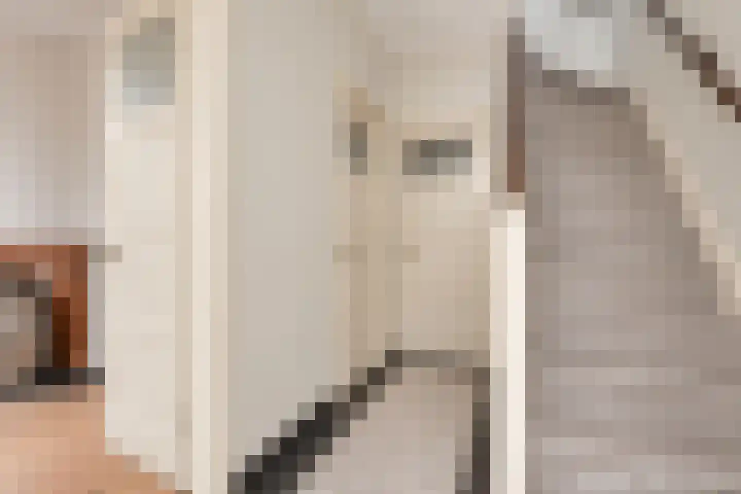 Nieuwstraat 8 Hansweert thumbnail 6