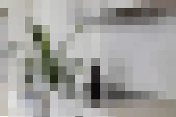 Nieuwstraat 8 Heerenveen thumbnail 19