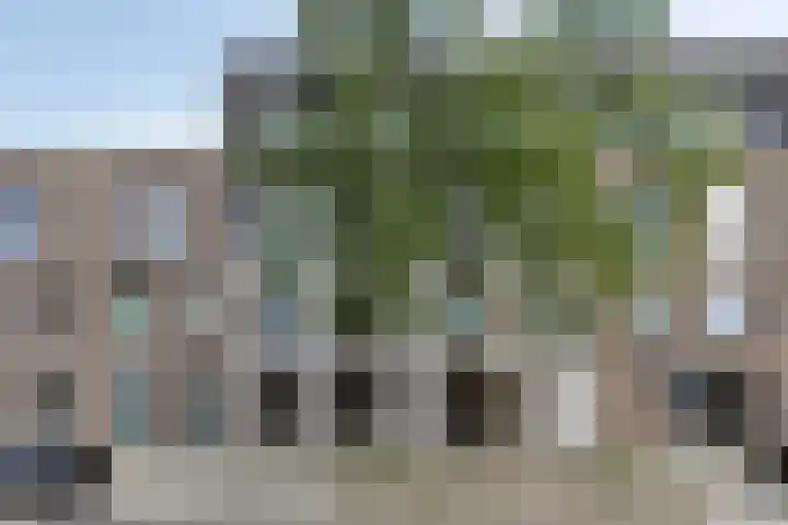 Nieuwstraat 8 Heerenveen thumbnail 5