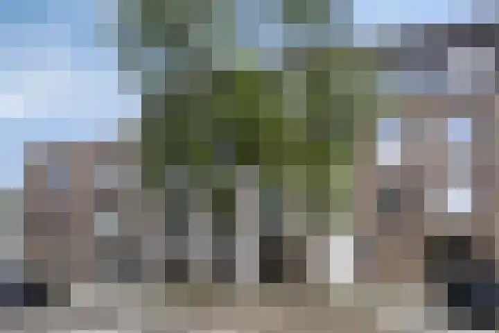Nieuwstraat 8 Heerenveen thumbnail 6