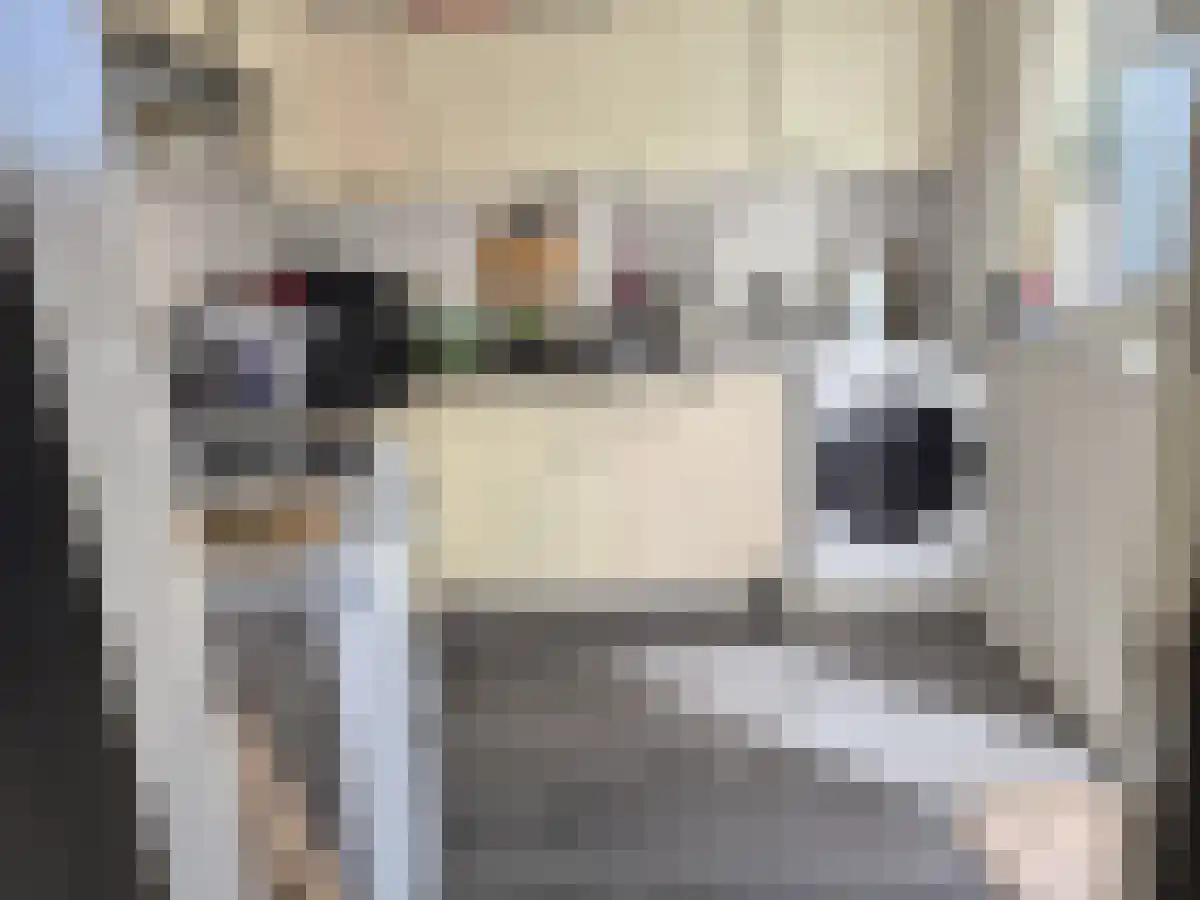 Nieuwstraat 8 Zwolle thumbnail 5