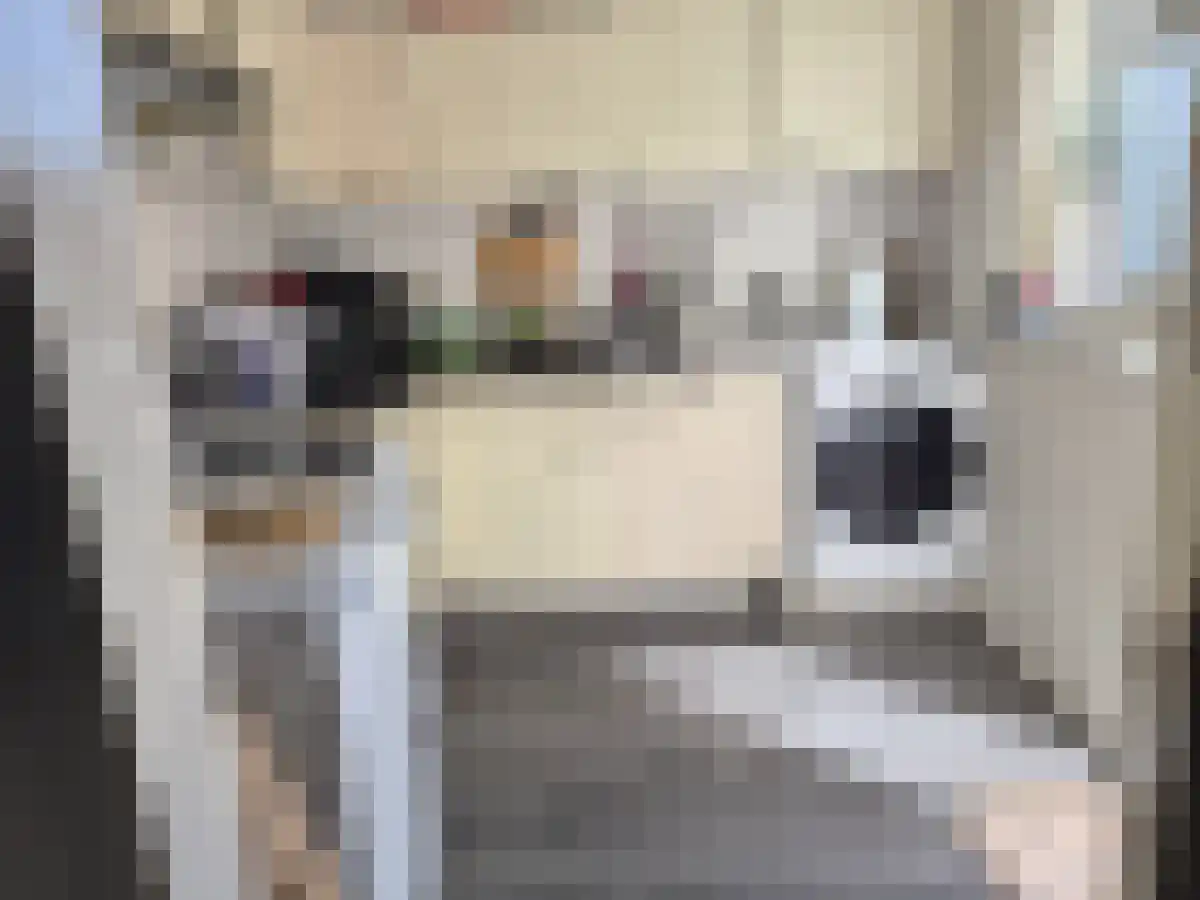 Nieuwstraat 8 Zwolle thumbnail 5