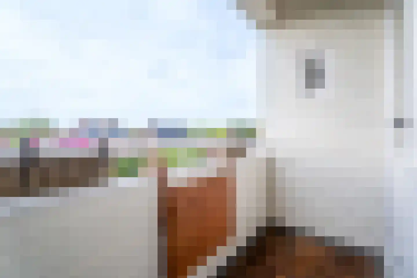 Nieuwstraat 81 C Made thumbnail 12