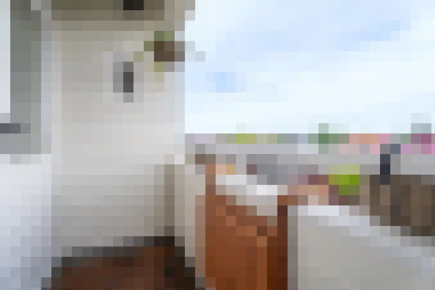 Nieuwstraat 81 C Made thumbnail 13