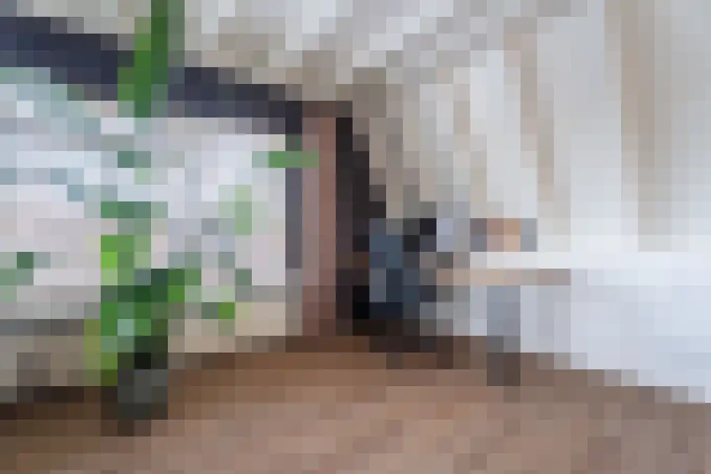 Nieuwstraat 81 C Made thumbnail 8