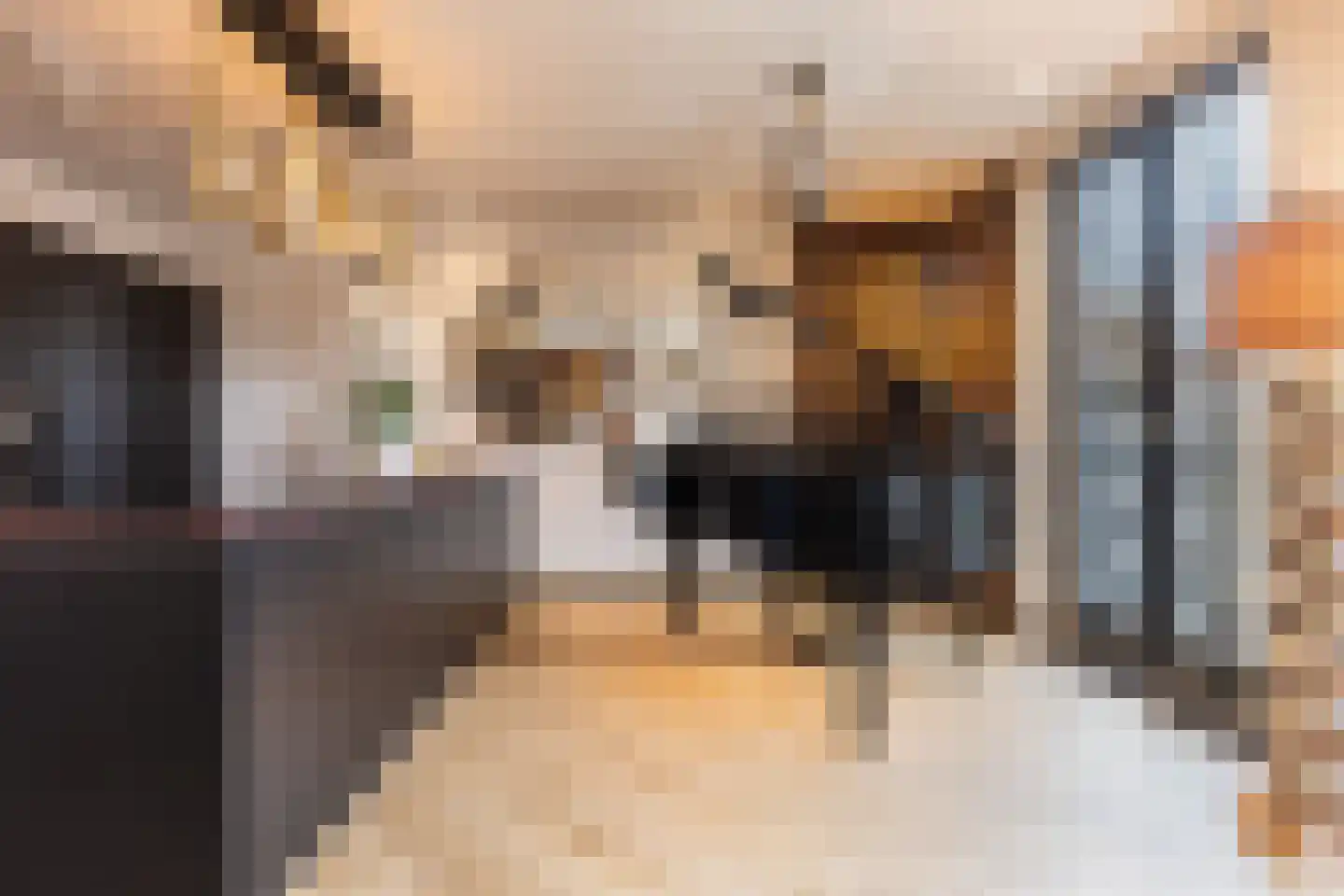 Nieuwstraat 83 Arnhem thumbnail 17