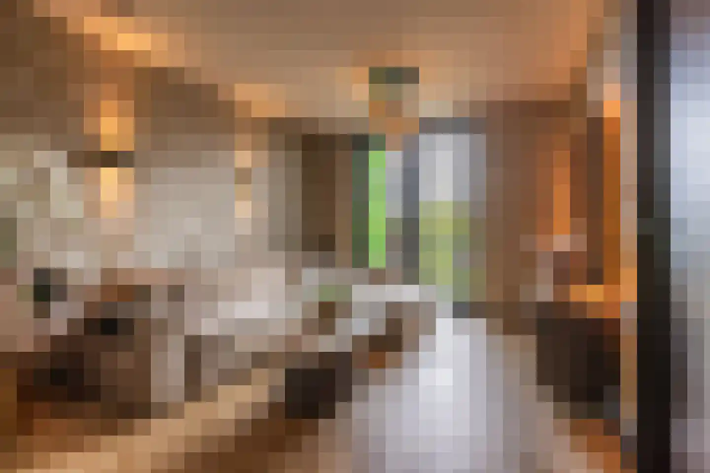 Nieuwstraat 83 Arnhem thumbnail 24