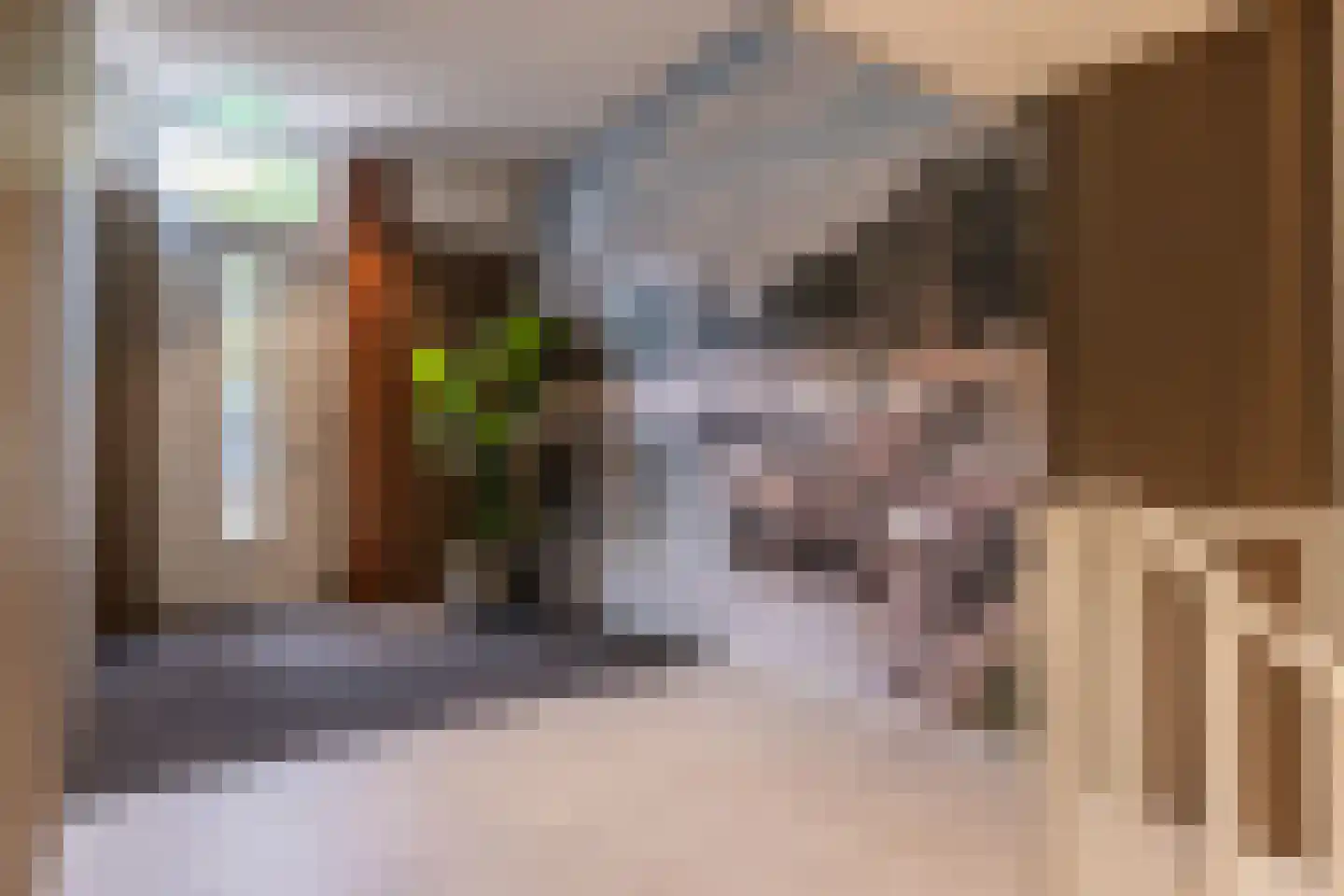 Nieuwstraat 83 Arnhem thumbnail 6