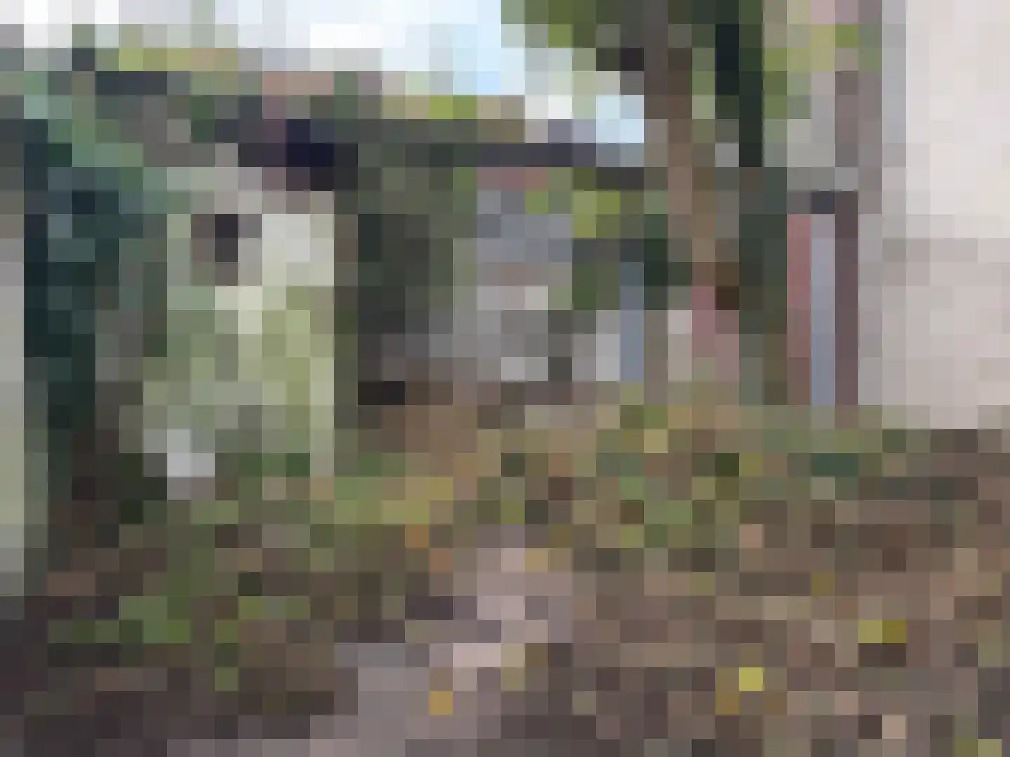 Nieuwstraat 83 Deventer thumbnail 12