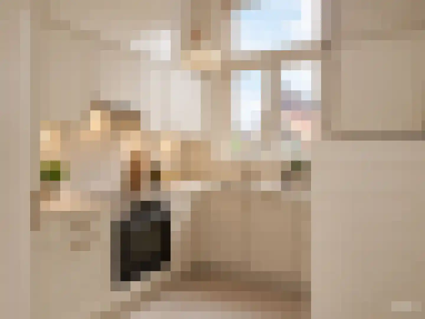 Nieuwstraat 83 Deventer thumbnail 15