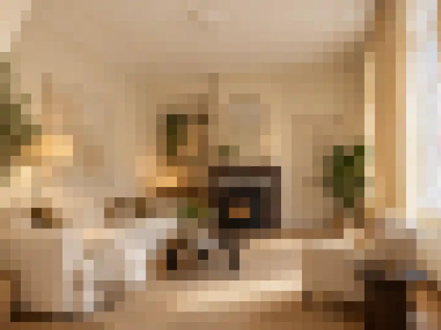 Nieuwstraat 83 Deventer thumbnail 17