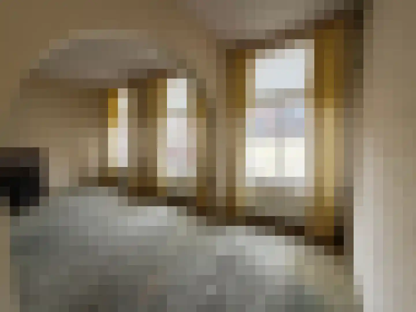 Nieuwstraat 83 Deventer thumbnail 18