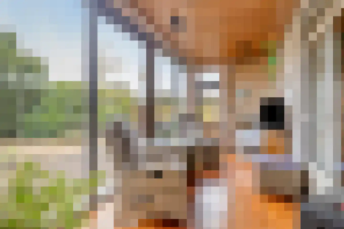Nieuwstraat 84 Best thumbnail 15