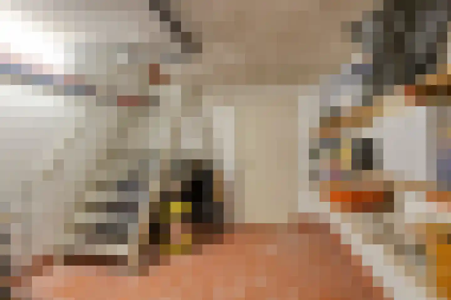 Nieuwstraat 84 Best thumbnail 21