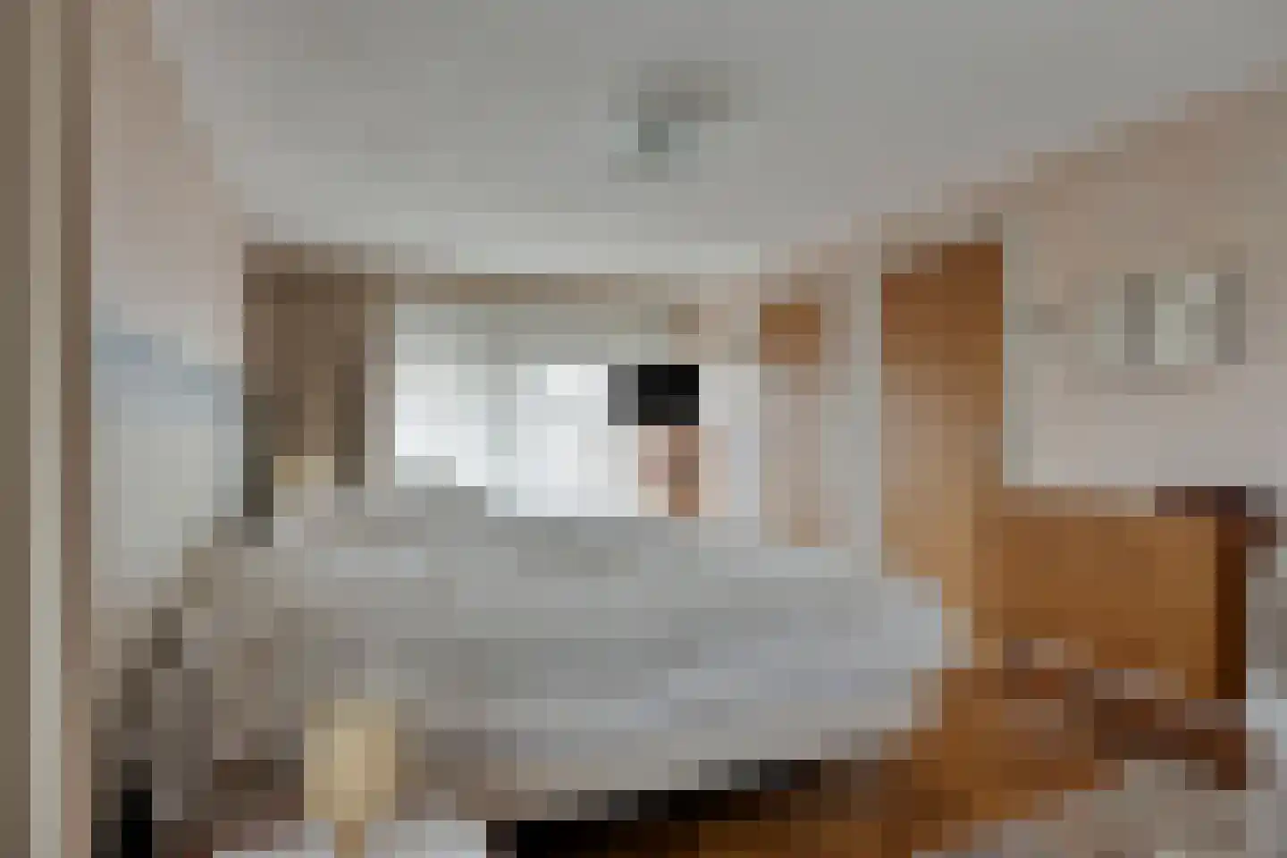 Nieuwstraat 84 Best thumbnail 24