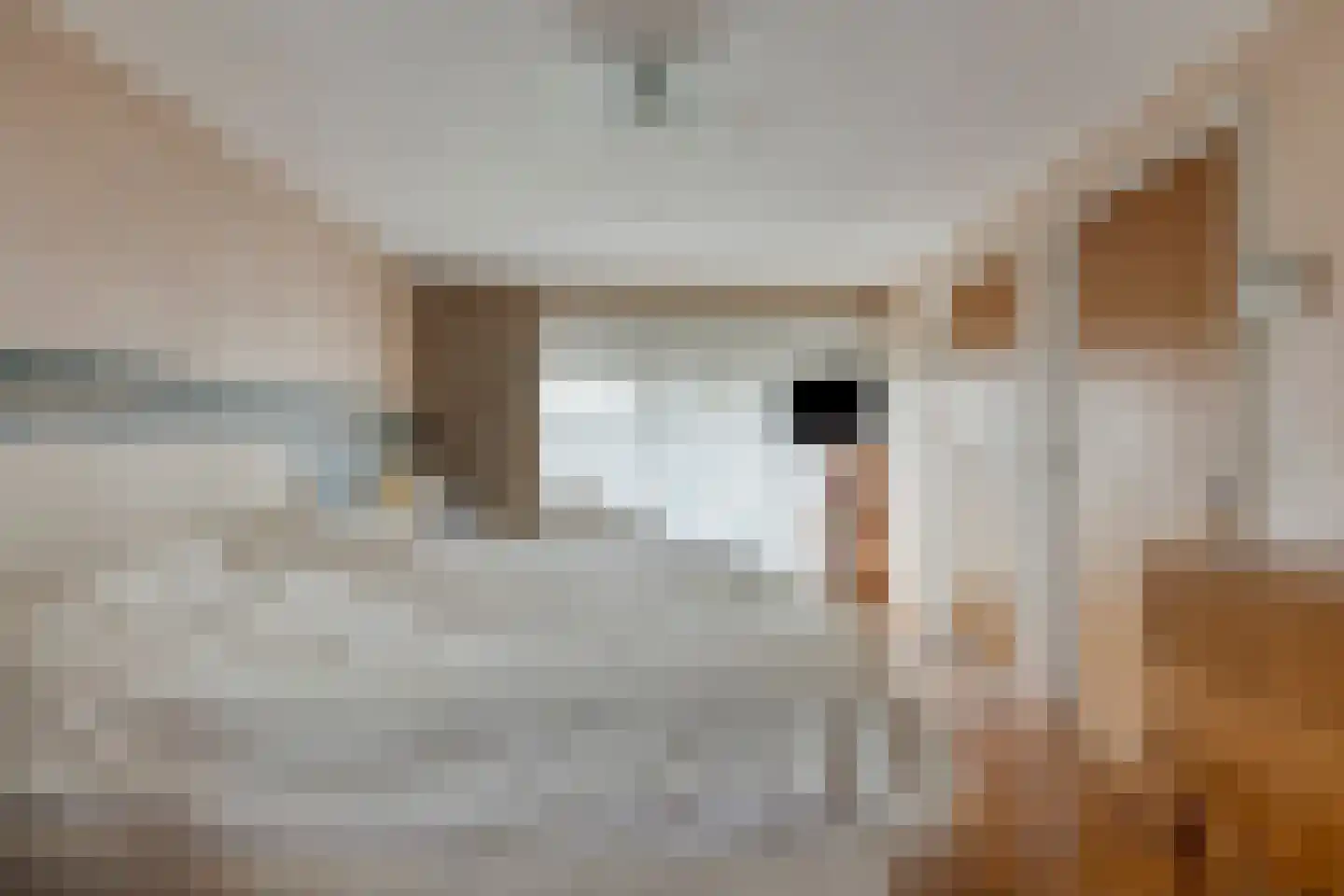 Nieuwstraat 84 Best thumbnail 25
