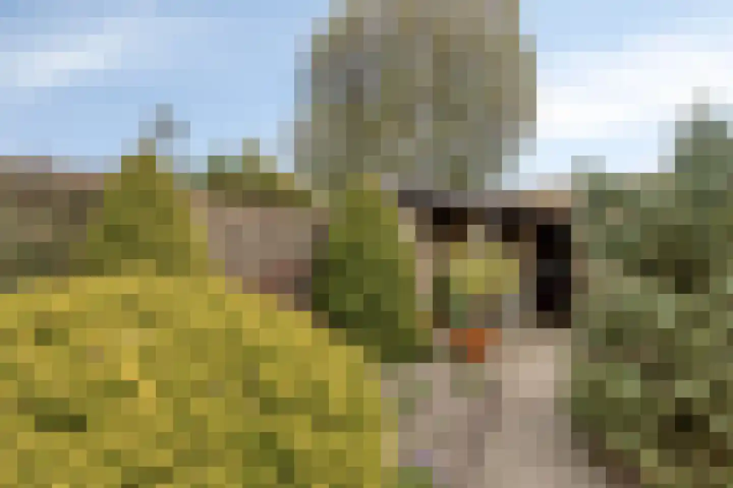 Nieuwstraat 84 Best thumbnail 39