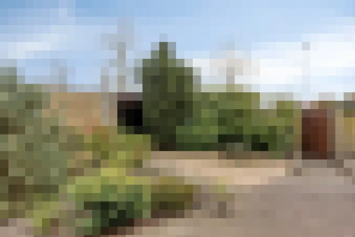 Nieuwstraat 84 Best thumbnail 43