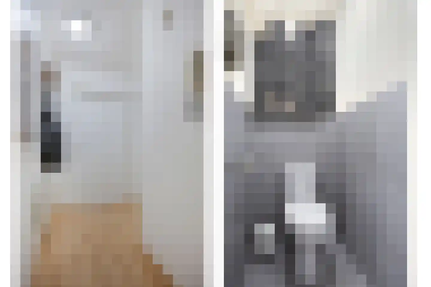 Nieuwstraat 85 Oss thumbnail 5
