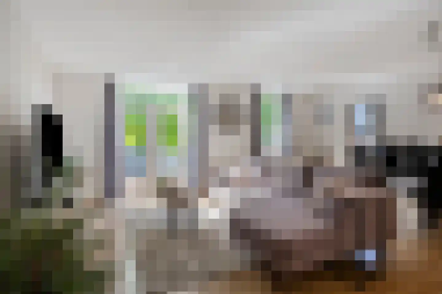 Nieuwstraat 85 Oss thumbnail 7