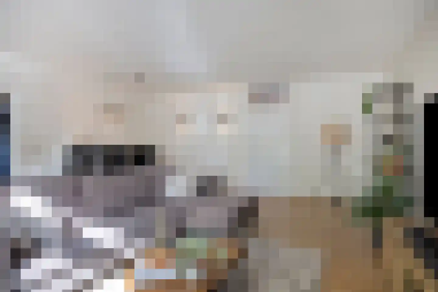 Nieuwstraat 85 Oss thumbnail 8