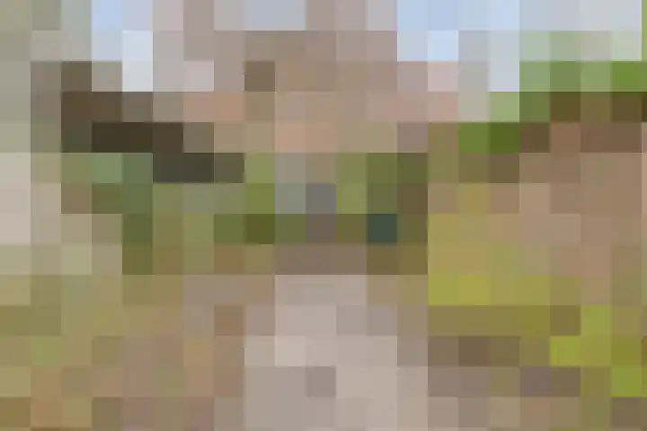 Nieuwstraat 85 Vught thumbnail 14