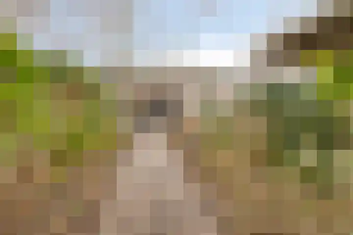 Nieuwstraat 85 Vught thumbnail 15