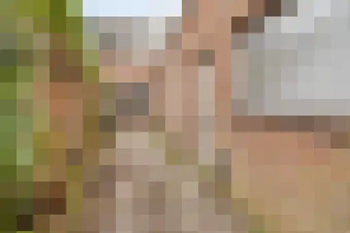Nieuwstraat 85 Vught thumbnail 16