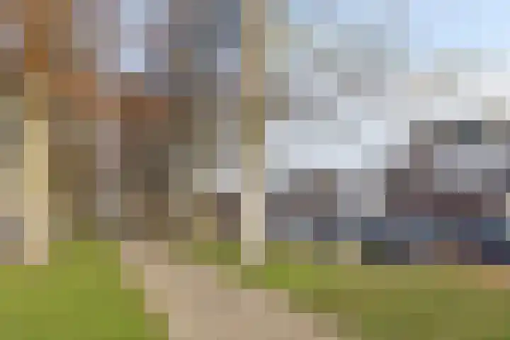 Nieuwstraat 85 Vught thumbnail 31