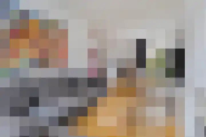 Nieuwstraat 85 Vught thumbnail 4
