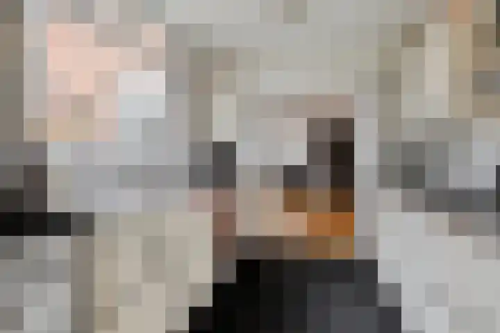 Nieuwstraat 85 Vught thumbnail 6